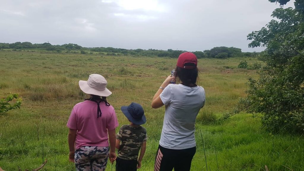 Little Rangers nature safari bush walk