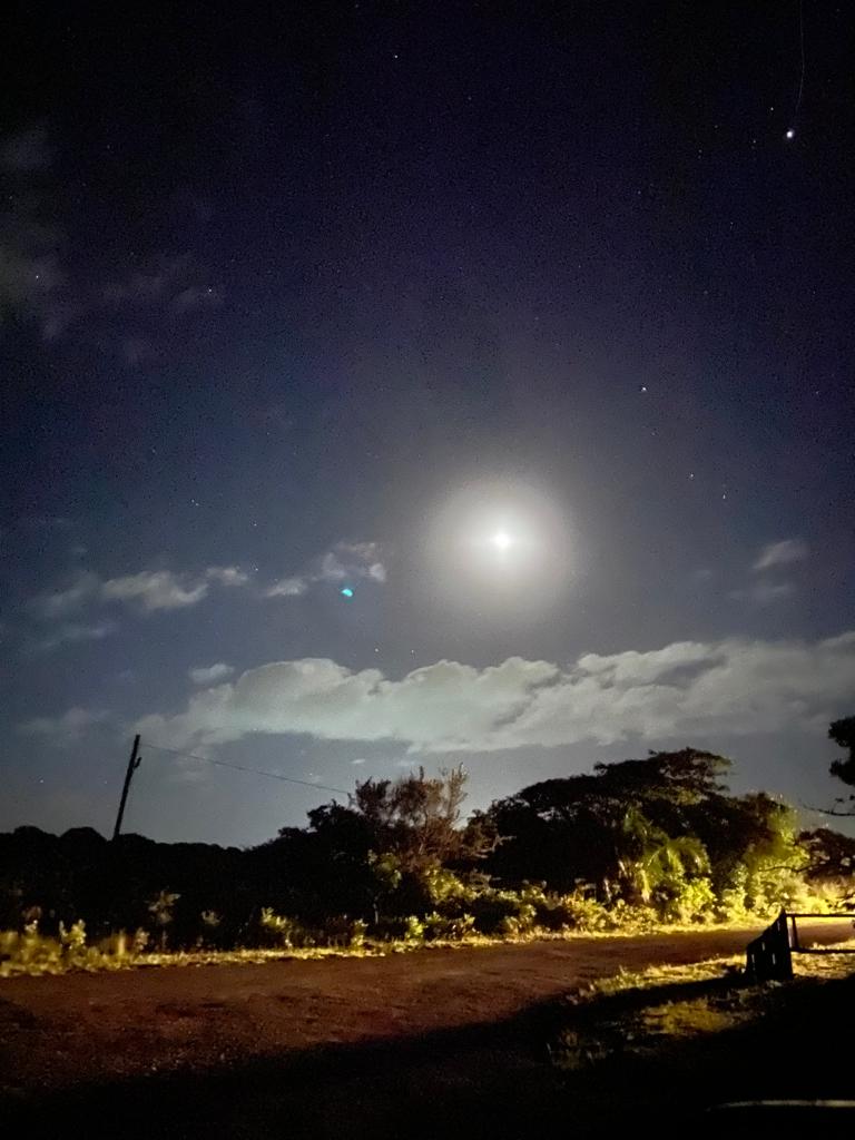 twilight safari St Lucia