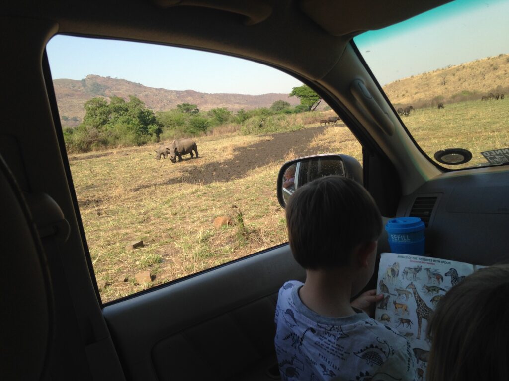 Little Adventurers Big 5 safari wildlife viewing