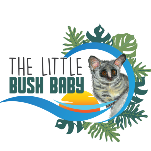 Logo Little Bush Baby Family Safaris St Lucia