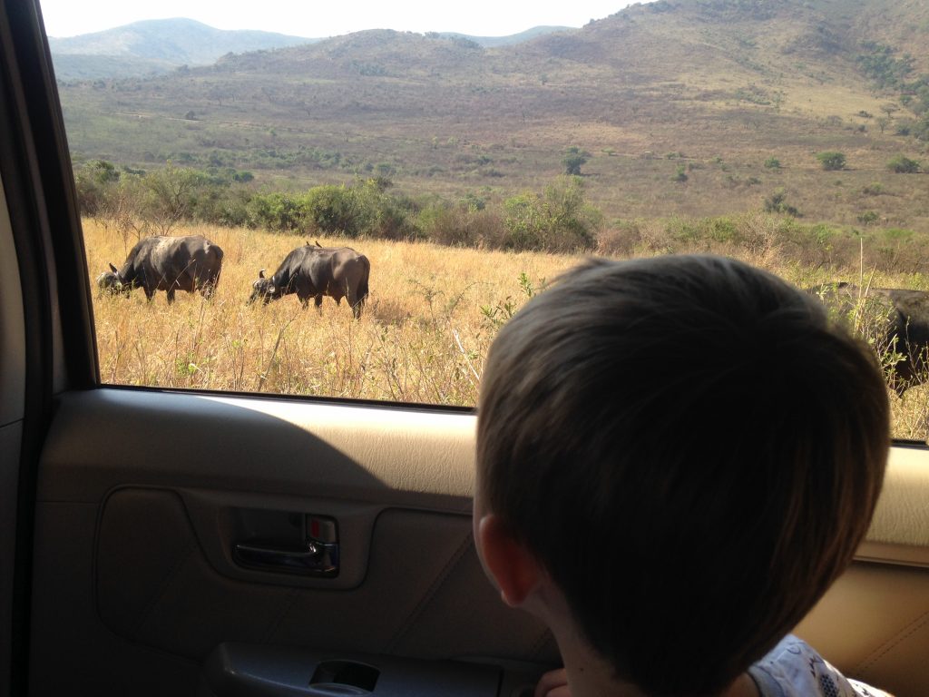 children exploring iSimangaliso Wetland Park