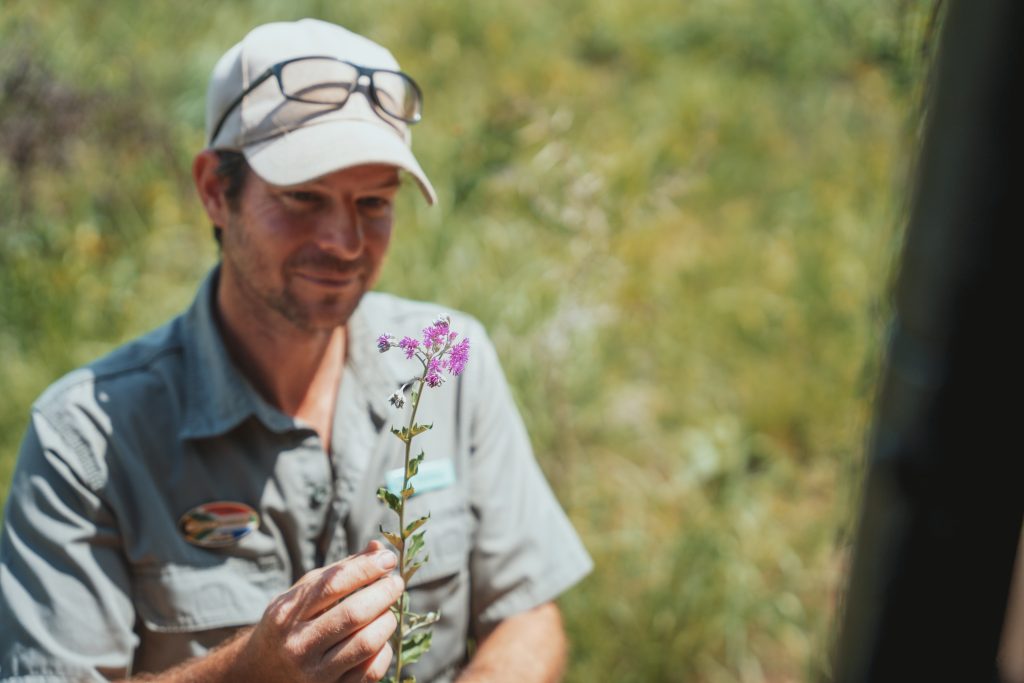 family bush walk safari St Lucia